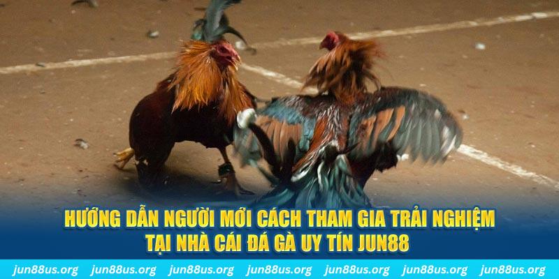 sumvip CQ9 Điện Tử