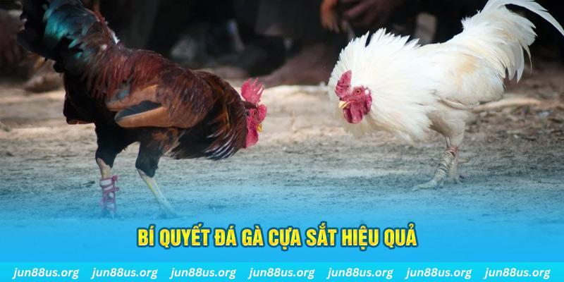 sumvip xin 1 slot là gì