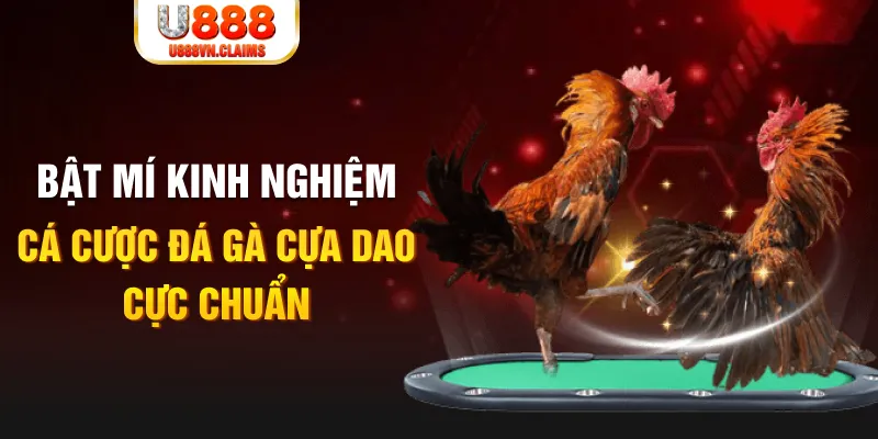 sumvip tỷ lệ cá cược châu á là gì