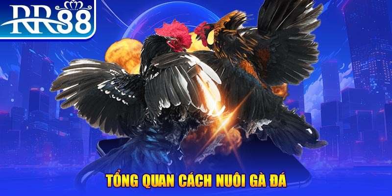 sumvip VA Điện Tử