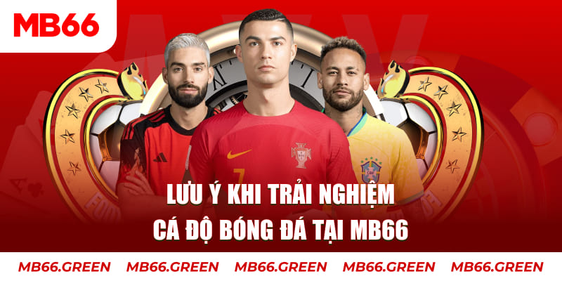 sumvip cá cược là gì