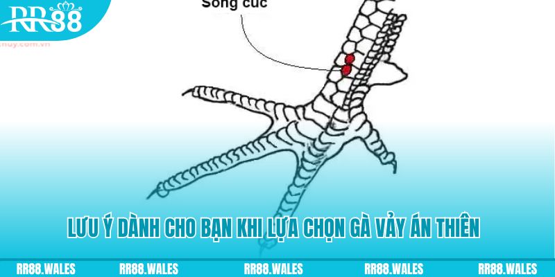 sumvip xổ số đồng nai