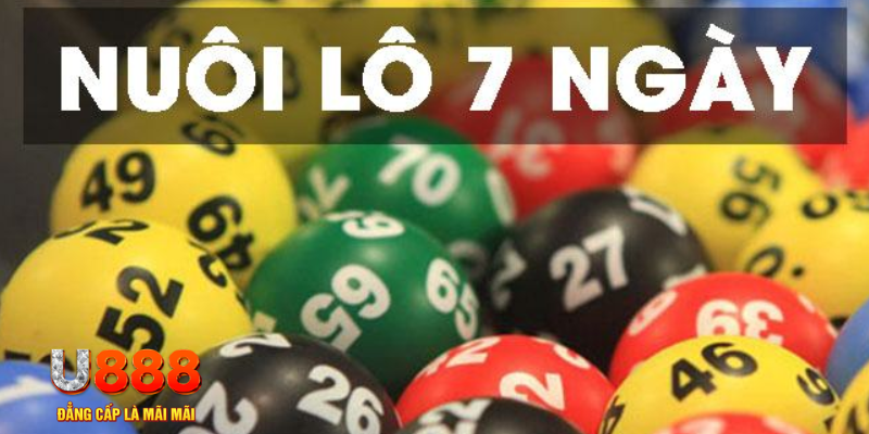 sumvip slot là j