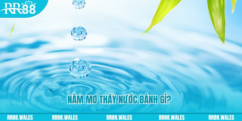 sumvip TP Bắn cá