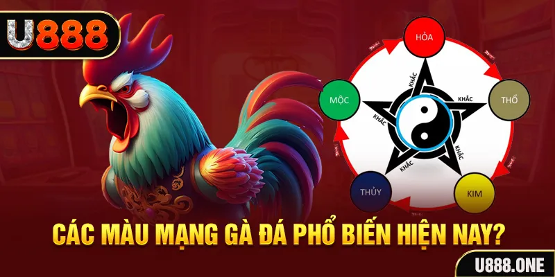 sumvip trực tiếp đá gà 88