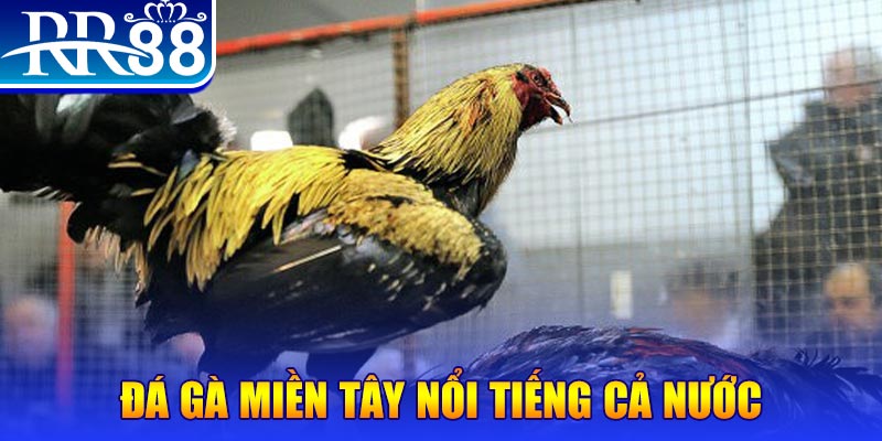 sumvip JILI Game Bài 3d