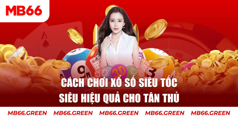 Cỡ bảy