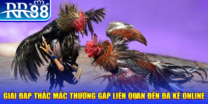 sumvip slot machine là gì