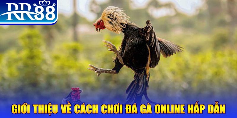 sumvip game nổ hũ rút tiền mặt là gì