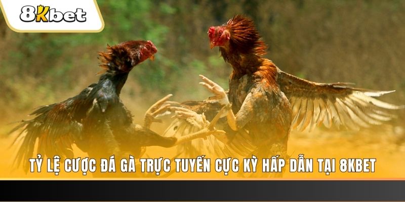 sumvip đăng nhập phỏm trực tiếp