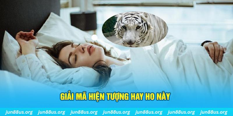 sumvip đăng nhập nổ hũ uy tín