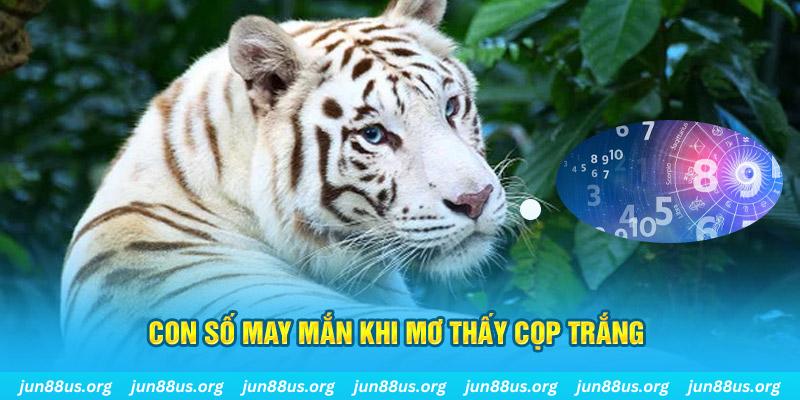 sumvip đá gà trực tiếp 88
